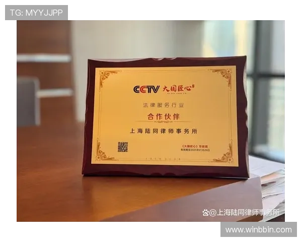 bbin平台有哪些合作伙伴和行业背景介绍